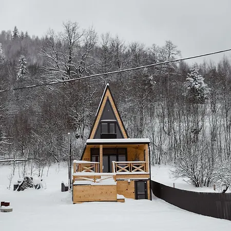 Будинок відпочинку Zelemin House Сколе